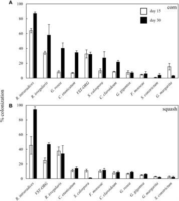 Arbuscular mycorrhizal species vary in their impact on nutrient uptake in sweet corn (Zea mays) and butternut squash (Cucurbita moschata)